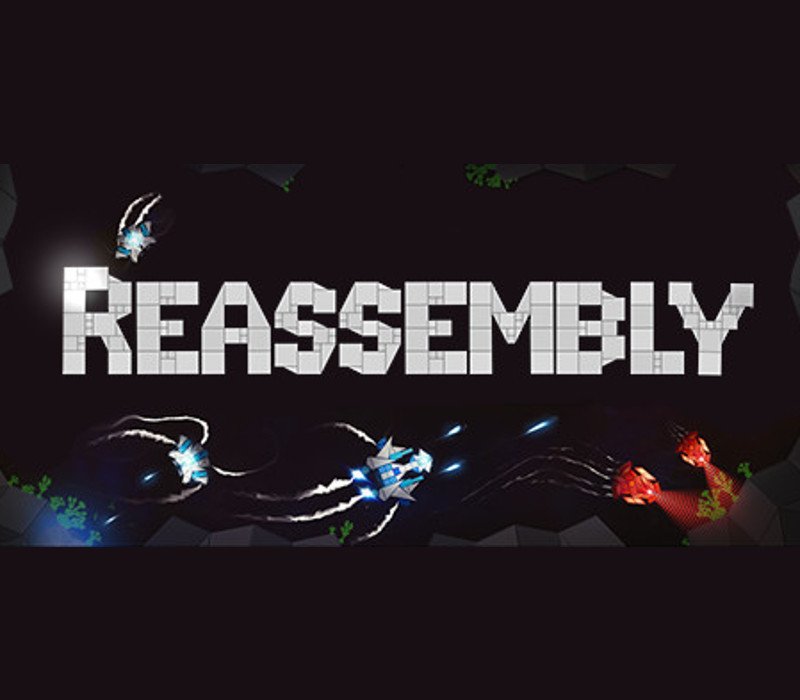 reass8_1